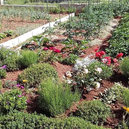 Appartement Pranjic *